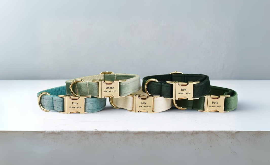 Collier Chien Personnalisé