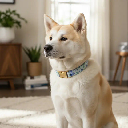 Collier Chien Personnalisé Amelia