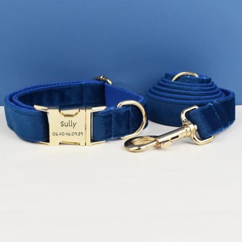 Collier Chien Personnalisé Bleu