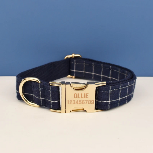 Collier Chien Personnalise Bleu
