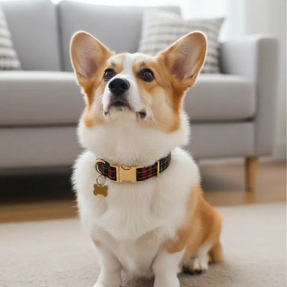 Collier Chien Personnalisé english