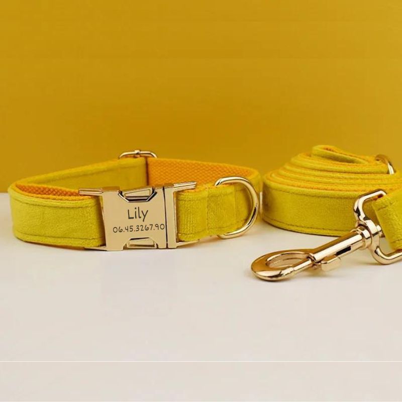 Collier Chien Personnalisé Jaune