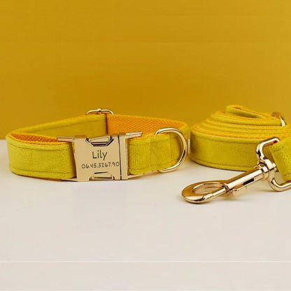 Collier Chien Personnalisé Jaune