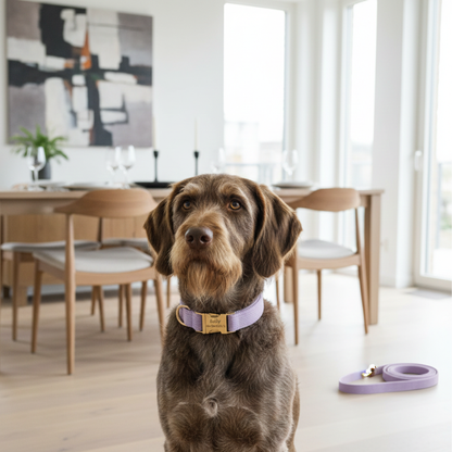Collier Chien Personnalisé Lila