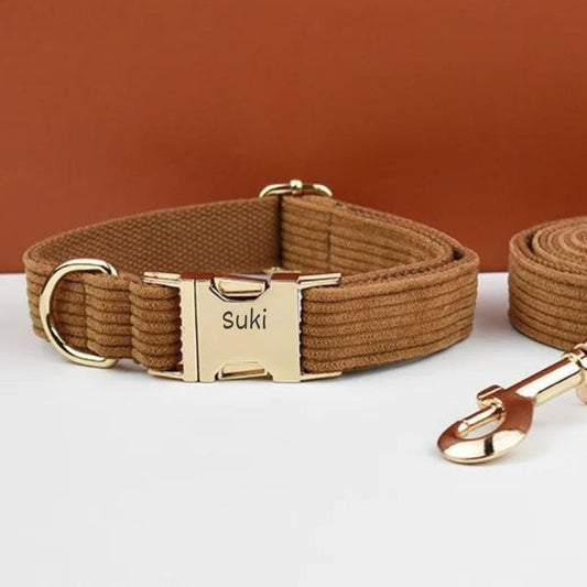 Collier Chien Personnalisé Marron