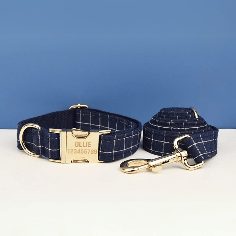 Collier Chien Personnalisé Star