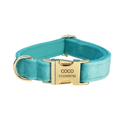 Collier Chien Personnalisé Turquoise