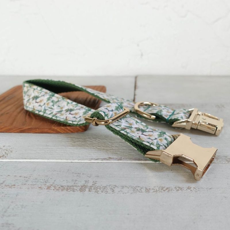 Collier Chien Personnalisé Vert