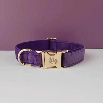 Collier Chien Personnalisé Violet
