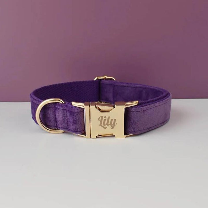 Collier Chien Personnalisé Violet