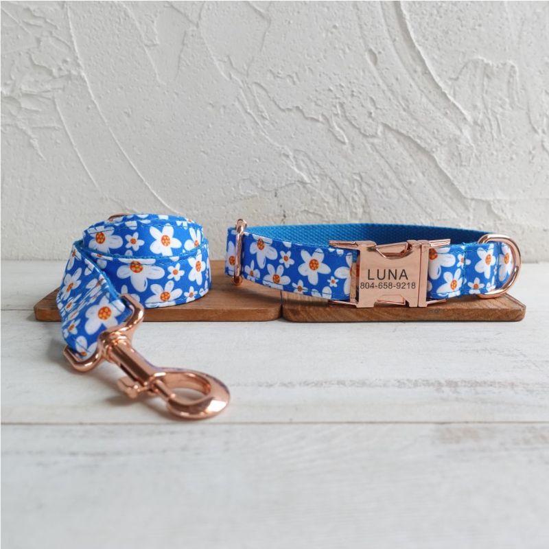 Collier Chien Personnalisé