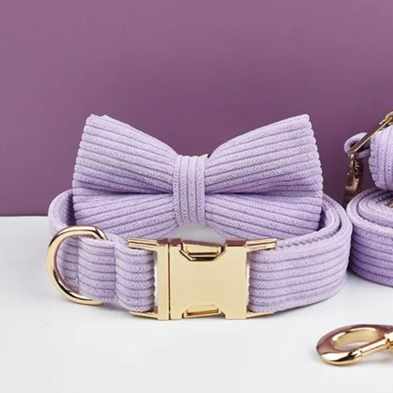 Collier Chien Personnalisé