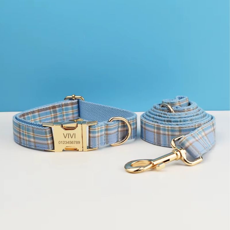 Collier Chien Personnalisable Bleu