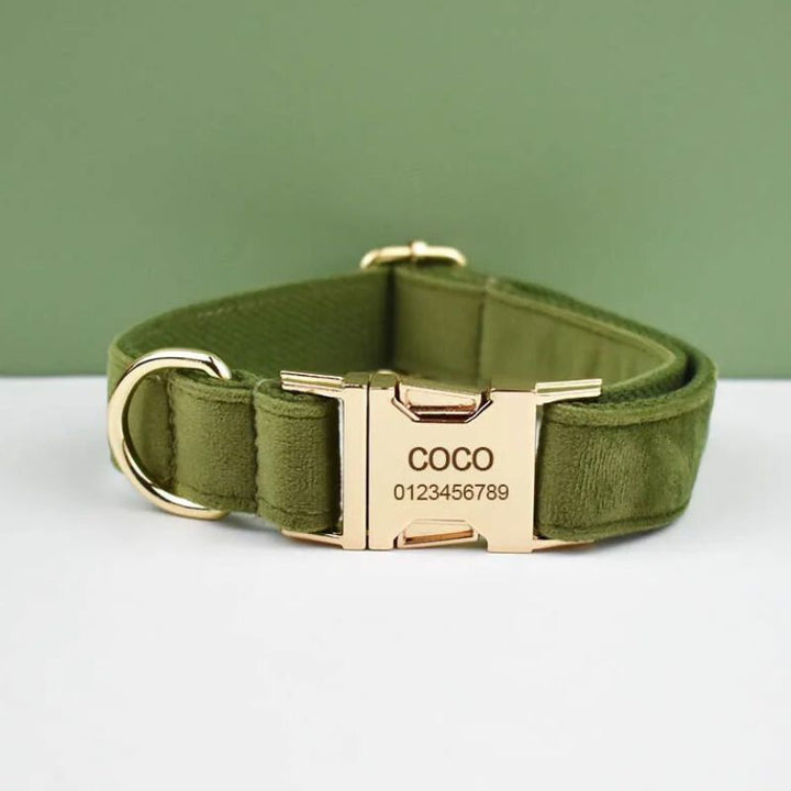 Collier Chien Personnalisé 