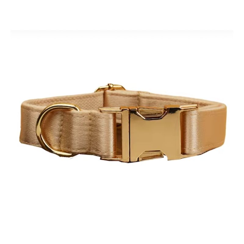 Collier pour Chien Personnalisable