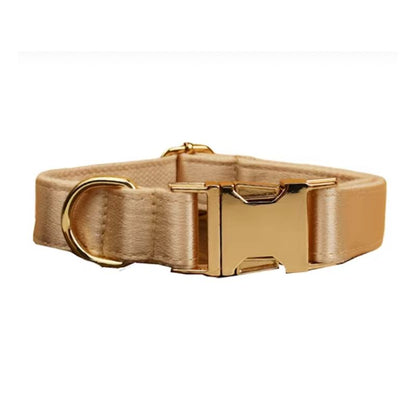 Collier pour Chien Personnalisable