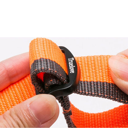 Collier Chien Personnalisé