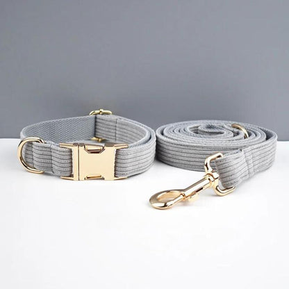 Collier Chien Personnalisé Gris