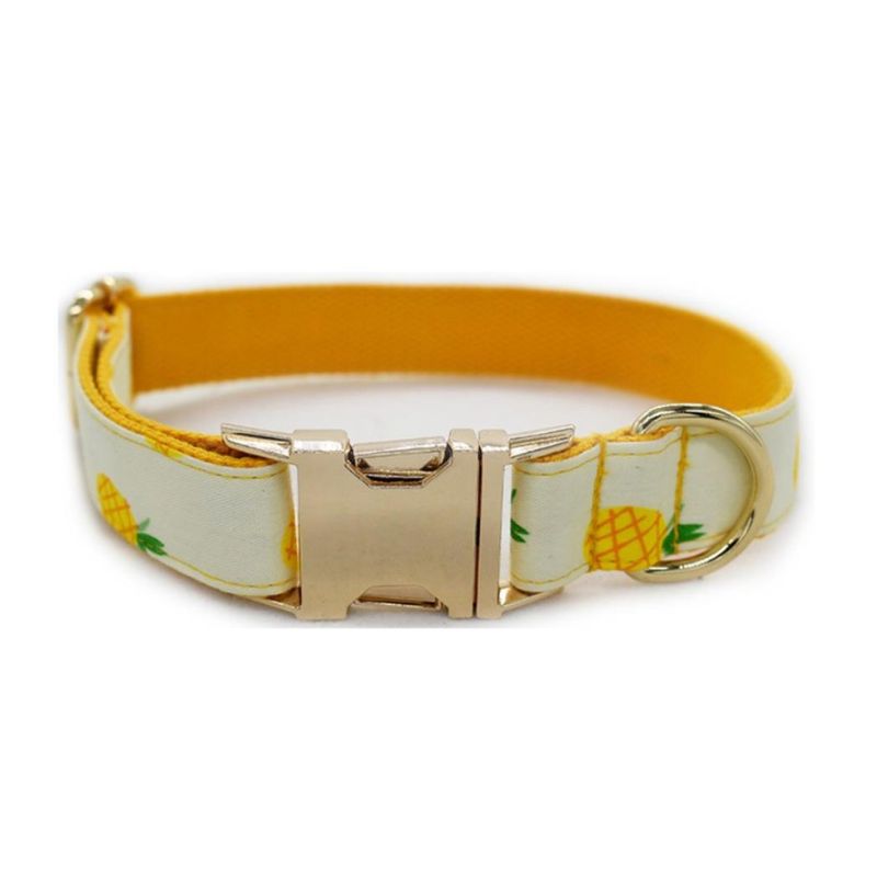 Collier Chien Personnalisé