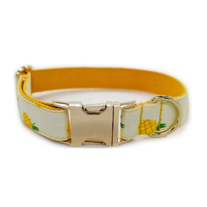 Collier Chien Personnalisé