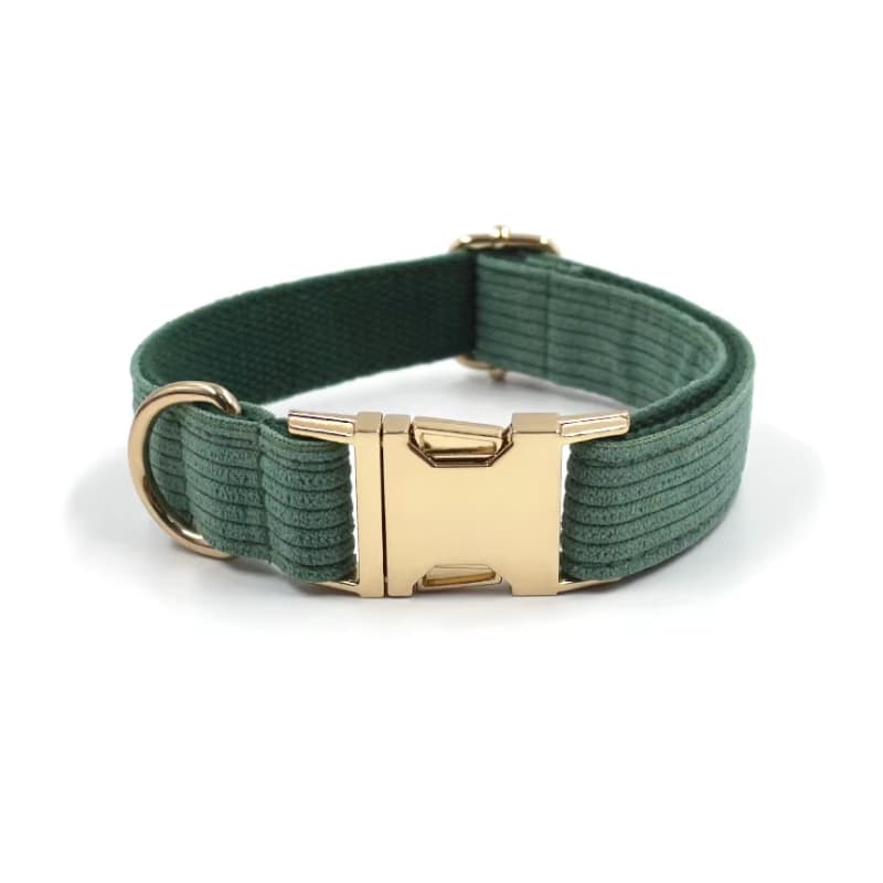 Collier Chien Personnalisé Vert