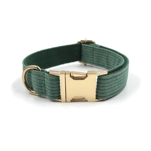 Collier Chien Personnalisé Vert