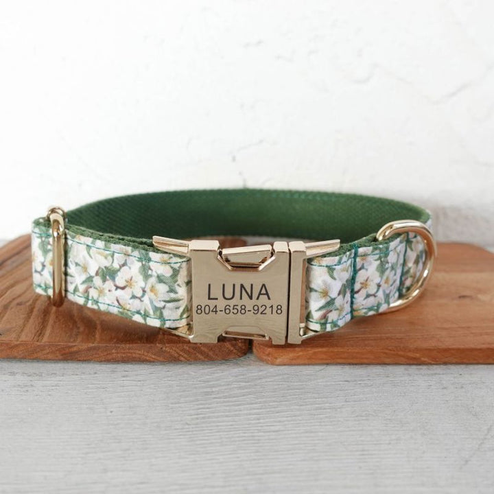 Collier Chien Personnalisé