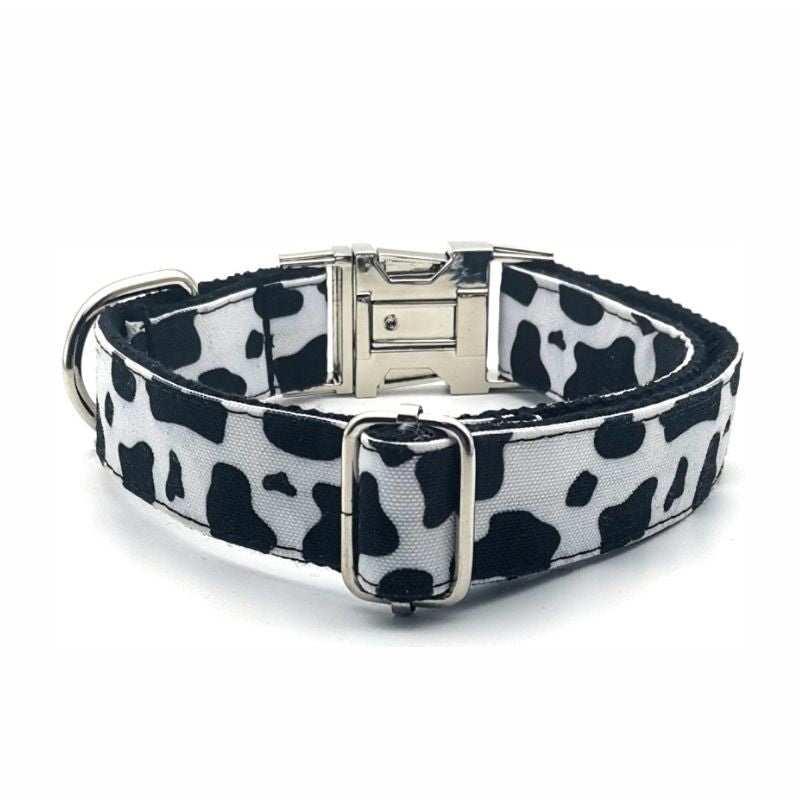 Collier Chien Personnalisé