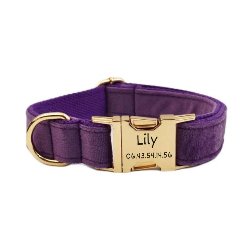 Collier Chien Personnalisé