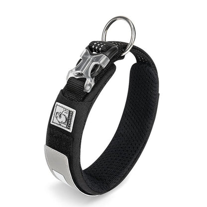 Collier Chien Personnalisé