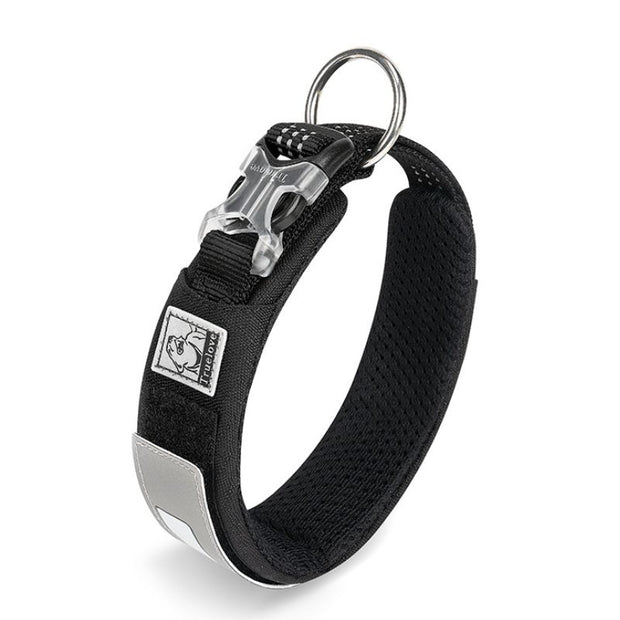 Collier Chien Personnalisé