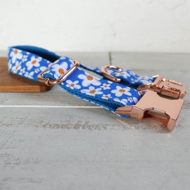 Collier pour Chien Personnalisé