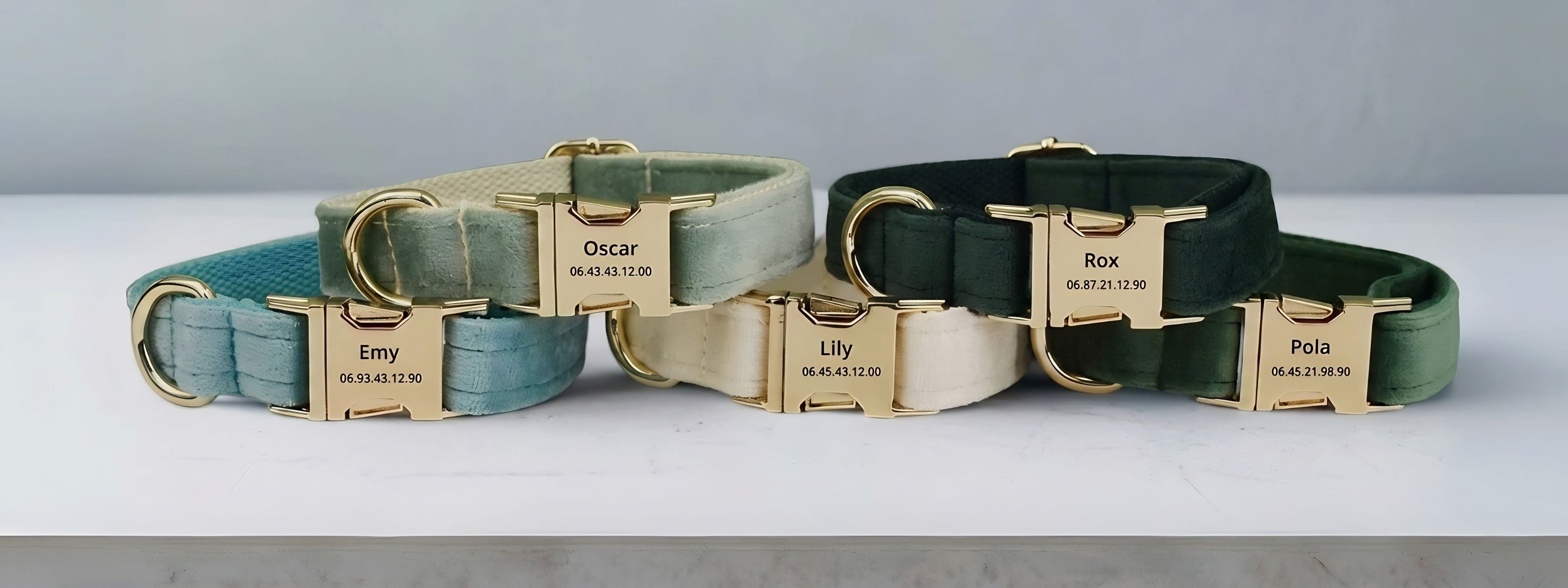 Collier Chien Personnalisé