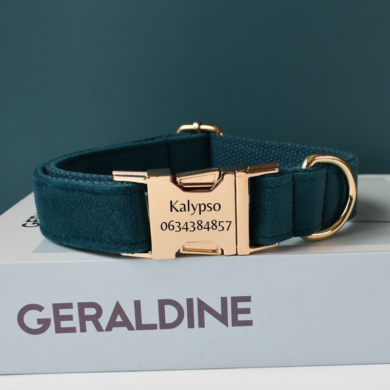 Collier Chien Personnalisé