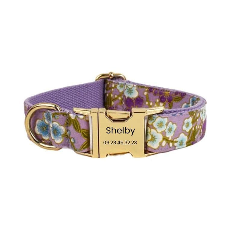 Collier Chien Personnalisé