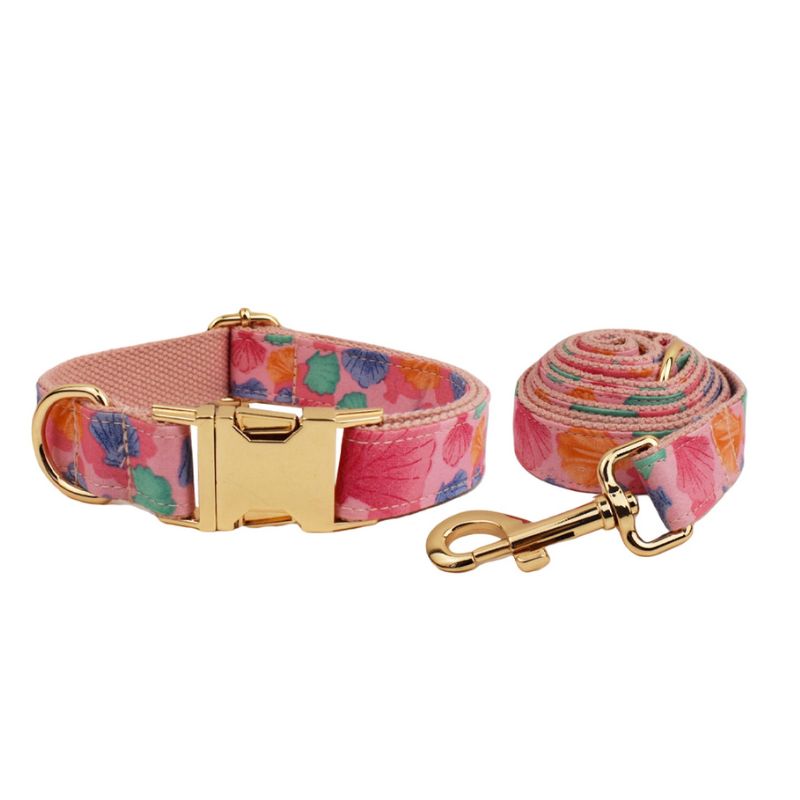 Collier Chien Personnalisé