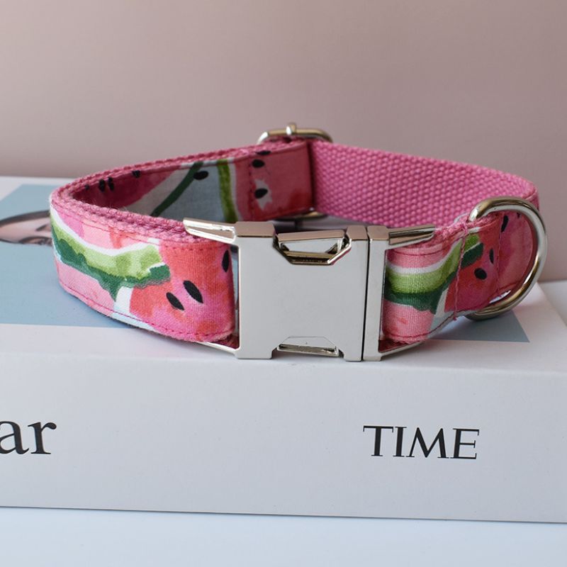 Collier Chien Personnalisé