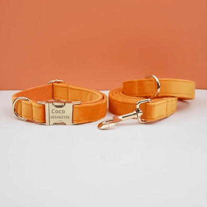 Collier pour Chien Personsalise Orange