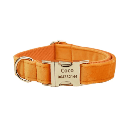 Collier Chien Personsalise Orange