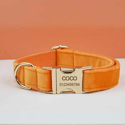 Collier Chien Personsalisé Orange
