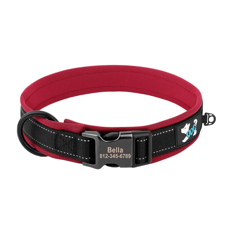 Collier Chien Rouge