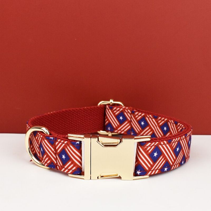 Collier Chien Personnalisé