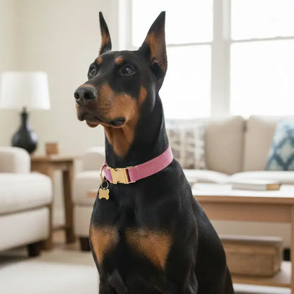 Collier Chien Personnalisé Framboise