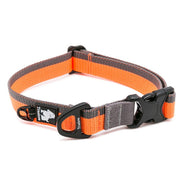 Collier Chien