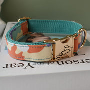 Collier Chien