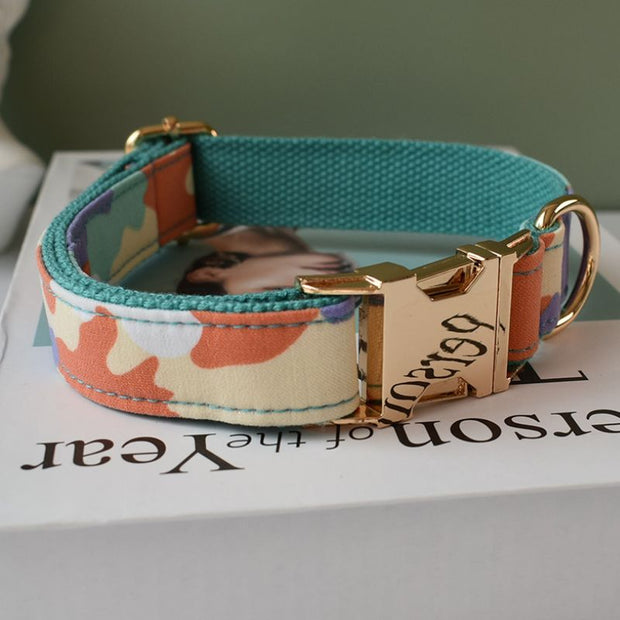 Collier Chien