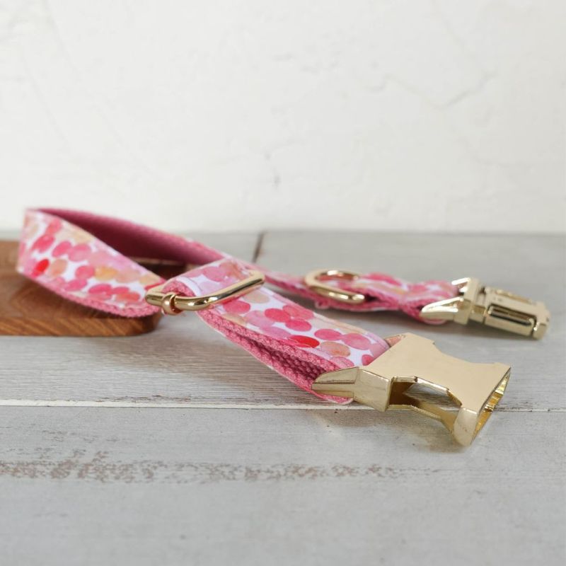 Collier Chien