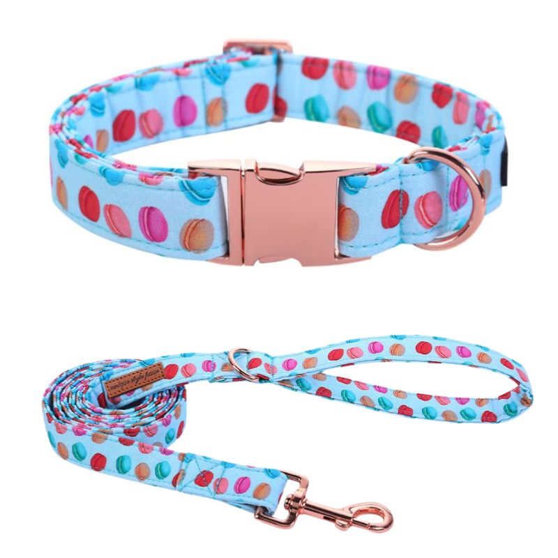 Collier Chien