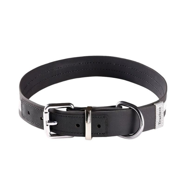 Collier Chien