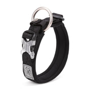 Collier Chien